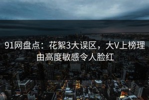 91网盘点：花絮3大误区，大V上榜理由高度敏感令人脸红