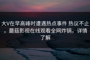 大V在早高峰时遭遇热点事件 热议不止，蘑菇影视在线观看全网炸锅，详情了解