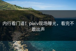 内行看门道！pixiv现场曝光，看完不敢出声
