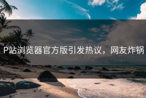 P站浏览器官方版引发热议，网友炸锅