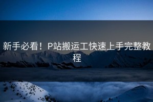 新手必看！P站搬运工快速上手完整教程