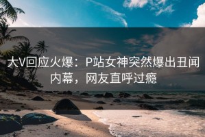 大V回应火爆：P站女神突然爆出丑闻内幕，网友直呼过瘾