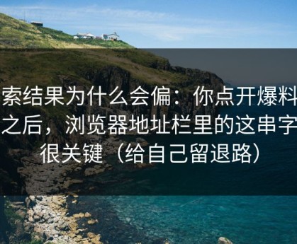 搜索结果为什么会偏：你点开爆料出瓜之后，浏览器地址栏里的这串字符很关键（给自己留退路）