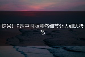 惊呆！P站中国版竟然细节让人细思极恐