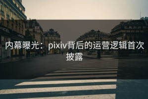 内幕曝光：pixiv背后的运营逻辑首次披露