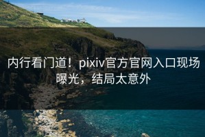内行看门道！pixiv官方官网入口现场曝光，结局太意外
