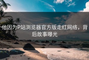 他因为P站浏览器官方版走红网络，背后故事曝光
