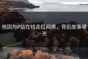 他因为P站在线走红网络，背后故事曝光