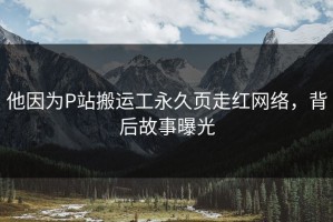 他因为P站搬运工永久页走红网络，背后故事曝光