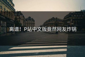 离谱！P站中文版竟然网友炸锅