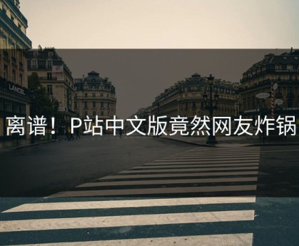 离谱！P站中文版竟然网友炸锅