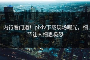 内行看门道！pixiv下载现场曝光，细节让人细思极恐