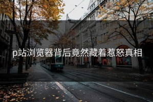 p站浏览器背后竟然藏着惹怒真相