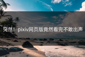 突然！pixiv网页版竟然看完不敢出声