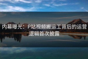 内幕曝光：P站视频搬运工背后的运营逻辑首次披露