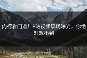 内行看门道！P站视频现场曝光，你绝对想不到