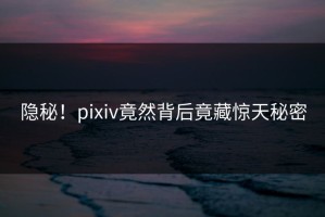 隐秘！pixiv竟然背后竟藏惊天秘密