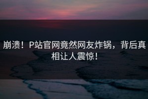 崩溃！P站官网竟然网友炸锅，背后真相让人震惊！