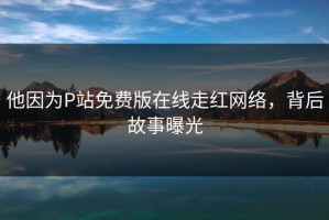 他因为P站免费版在线走红网络，背后故事曝光