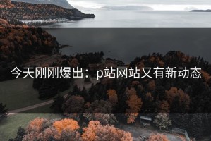 今天刚刚爆出：p站网站又有新动态