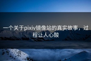 一个关于pixiv镜像站的真实故事，过程让人心酸