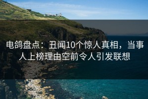 电鸽盘点：丑闻10个惊人真相，当事人上榜理由空前令人引发联想