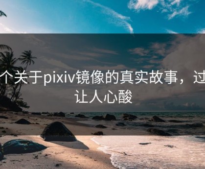 一个关于pixiv镜像的真实故事，过程让人心酸