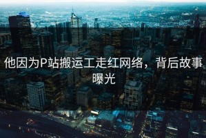 他因为P站搬运工走红网络，背后故事曝光