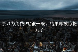 原以为免费P站很一般，结果却被惊艳到了