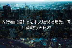 内行看门道！p站中文版现场曝光，背后竟藏惊天秘密