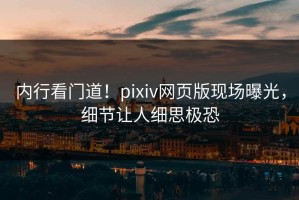 内行看门道！pixiv网页版现场曝光，细节让人细思极恐