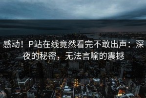 感动！P站在线竟然看完不敢出声：深夜的秘密，无法言喻的震撼