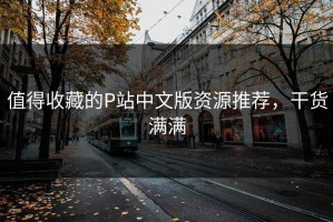 值得收藏的P站中文版资源推荐，干货满满