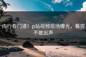 内行看门道！p站视频现场曝光，看完不敢出声