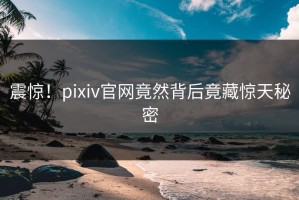 震惊！pixiv官网竟然背后竟藏惊天秘密