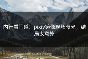 内行看门道！pixiv镜像现场曝光，结局太意外