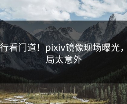 内行看门道！pixiv镜像现场曝光，结局太意外