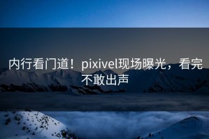 内行看门道！pixivel现场曝光，看完不敢出声