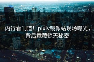 内行看门道！pixiv镜像站现场曝光，背后竟藏惊天秘密