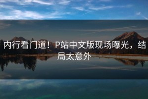内行看门道！P站中文版现场曝光，结局太意外