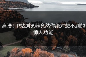 离谱！P站浏览器竟然你绝对想不到的惊人功能