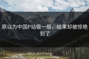 原以为中国P站很一般，结果却被惊艳到了