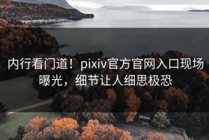 内行看门道！pixiv官方官网入口现场曝光，细节让人细思极恐