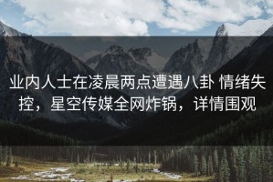 业内人士在凌晨两点遭遇八卦 情绪失控，星空传媒全网炸锅，详情围观