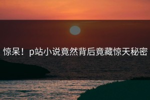 惊呆！p站小说竟然背后竟藏惊天秘密