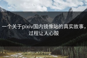 一个关于pixiv国内镜像站的真实故事，过程让人心酸