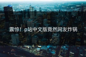 震惊！p站中文版竟然网友炸锅