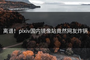 离谱！pixiv国内镜像站竟然网友炸锅