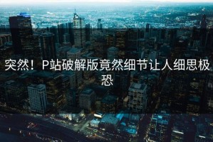 突然！P站破解版竟然细节让人细思极恐