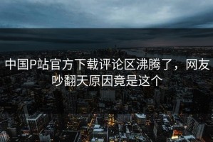 中国P站官方下载评论区沸腾了，网友吵翻天原因竟是这个